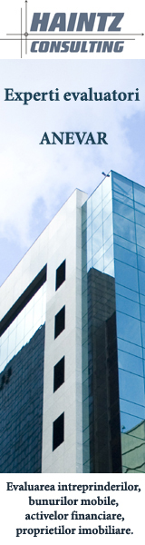 Haintz Consulting Evaluari